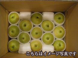 有機栽培　中田さんの二十世紀梨　